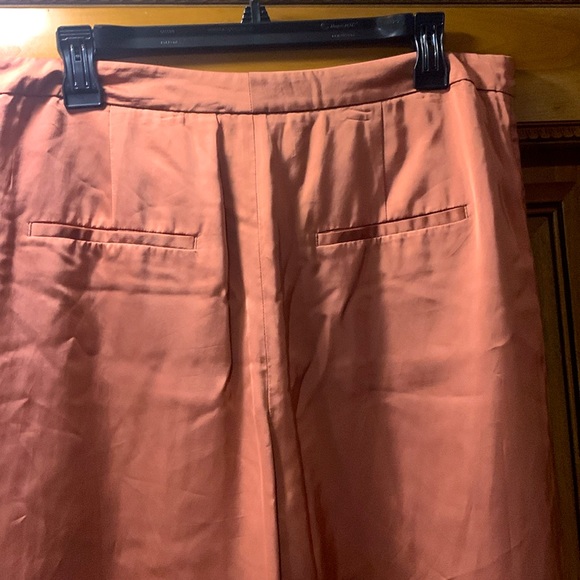 NWOT Vince Pleated Front Cottonwood Color Culottes Size 10 - Picture 4 of 8